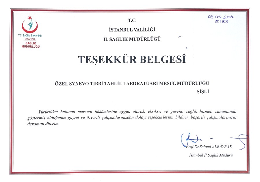 Synevo Başarıya Doymuyor.