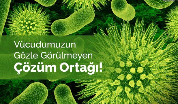 Mikrobiyota / Mikrobiyom Nedir?